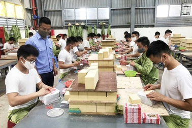 Quy định xử phạt, quản lý người sử dụng trái phép ma túy