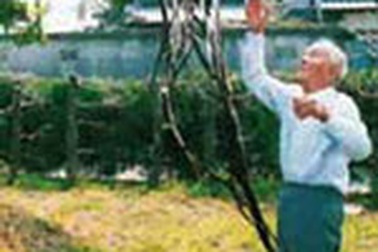 Chú gà trống có đuôi dài 10m 