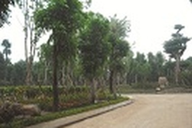 BĐS Hà Nội lộ rõ hình thái kinh doanh mới