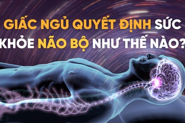 Giấc ngủ ảnh hưởng tới não bộ như thế nào?