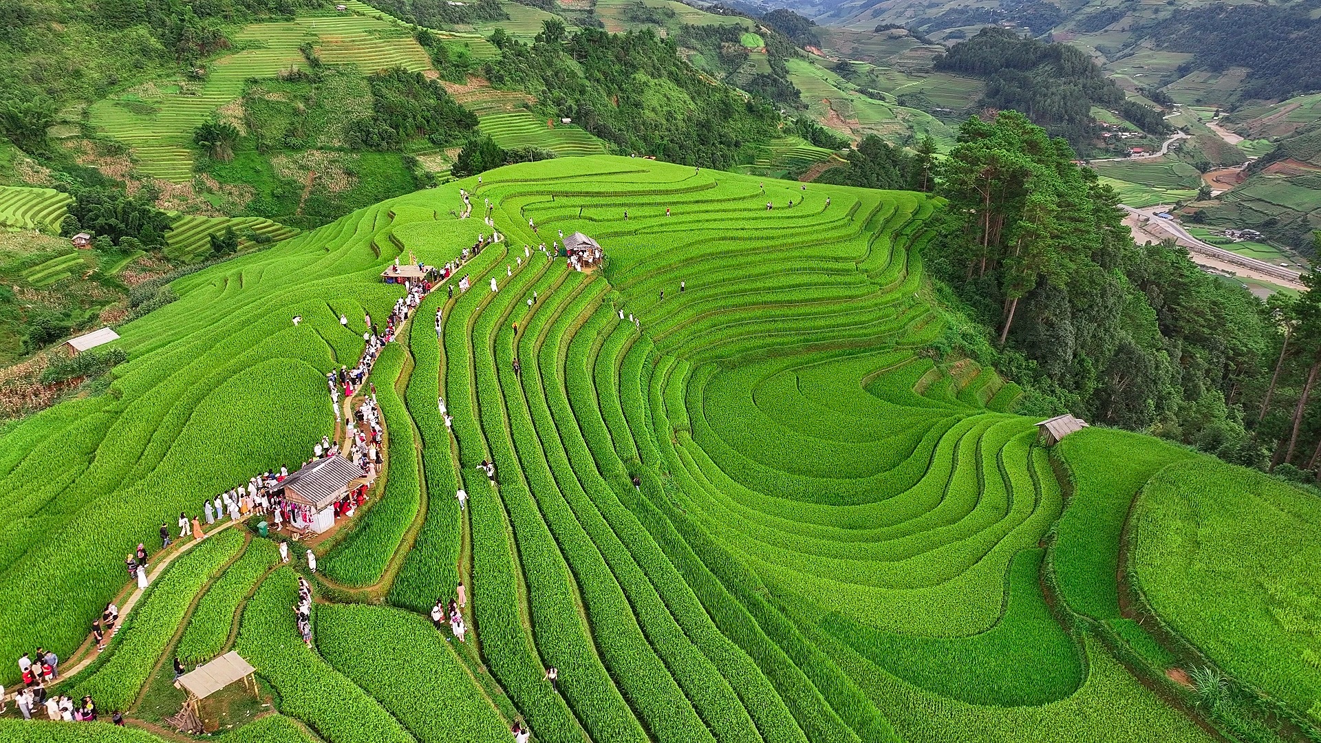 Sợ cảnh chen chúc check-in, khách tranh thủ lên Mù Cang Chải ngắm lúa sớm - 4