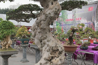 Chiêm ngưỡng siêu phẩm “Gươm báu truyền kỳ” của đại gia đất Việt Trì