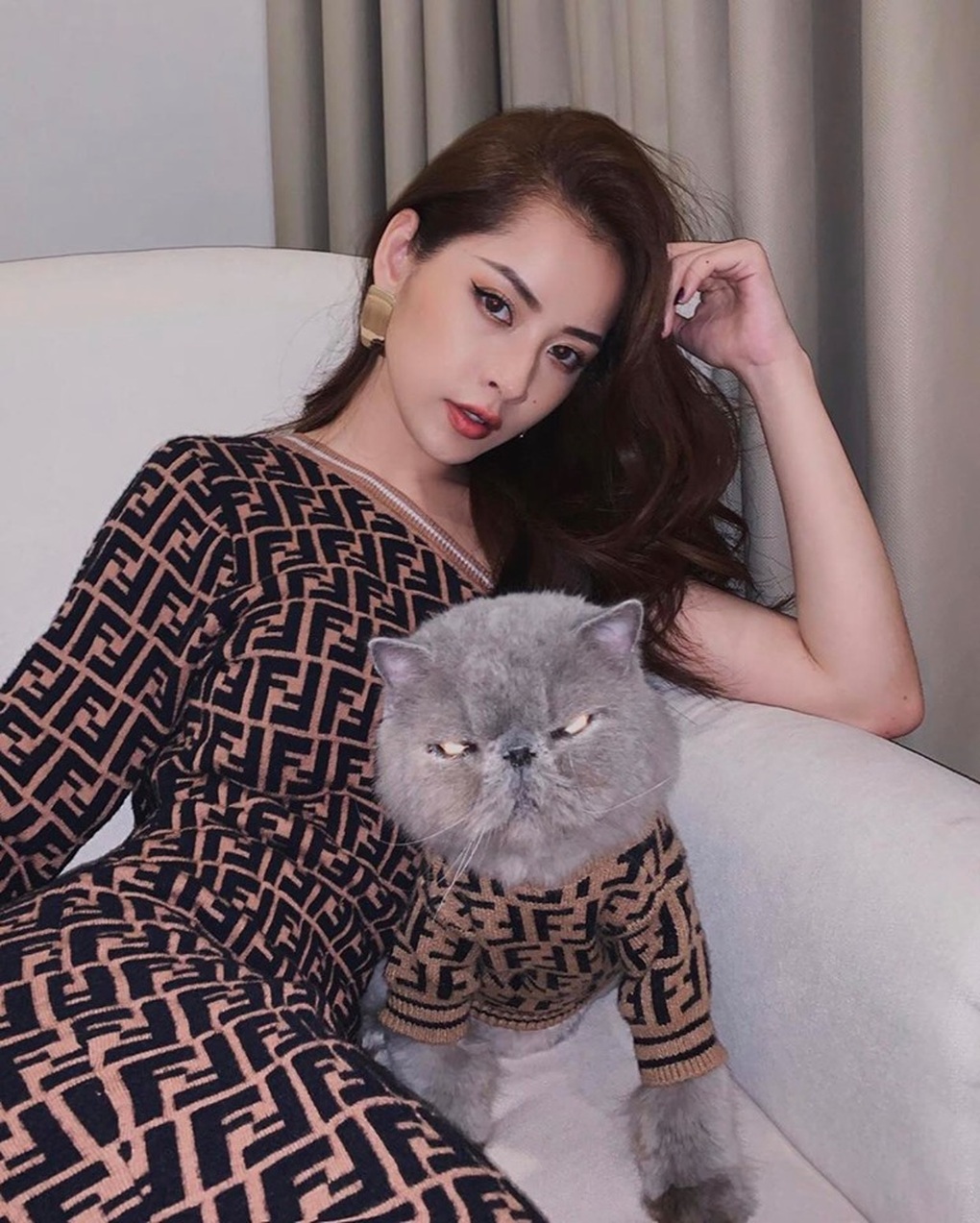 Sao Việt chi tiền nuôi mèo: Cho mặc đồ hiệu, đi máy bay hạng thương gia - 7 Sao Việt chi tiền nuôi mèo: Cho mặc đồ hiệu, đi máy bay hạng thương gia - 7