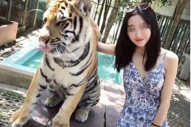 Thảm họa sở thú: Hổ thành nạn nhân mê tín, khách đua nhau nhổ lông lấy lộc