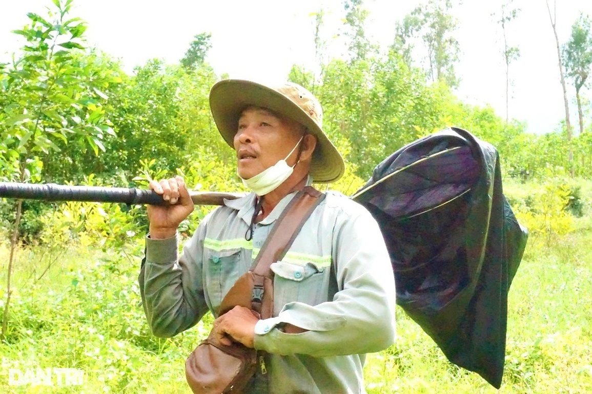 Theo chân thợ săn cào cào, châu chấu đỉnh có tiếng ở Đà thành - 4 Theo chân thợ săn cào cào, châu chấu đỉnh có tiếng ở Đà thành - 4