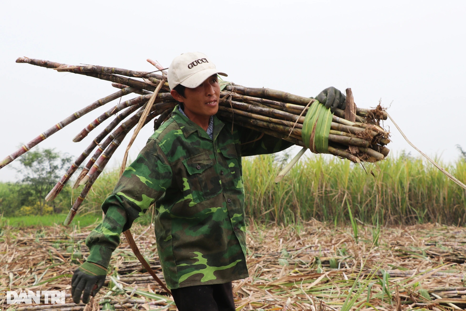 Đổ mồ hôi đứng bếp nấu thứ nước sóng sánh, thơm ngọt gọi Tết - 2