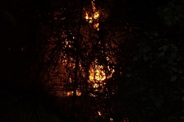 Cháy rừng do sét đánh