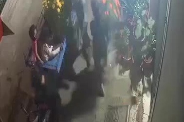 Nhóm người ngang nhiên lấy trộm hoa trưng Tết gây phẫn nộ