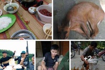 Nam thanh niên khoe "chiến tích" diệt động vật hoang dã trên Facebook