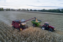 Thương chiến khiến nông sản Mỹ - Trung ngày càng phụ thuộc lẫn nhau