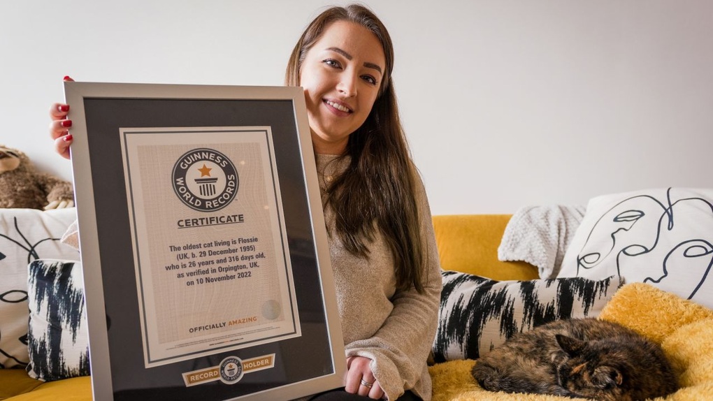 Mèo cao tuổi nhất thế giới lập kỷ lục Guinness - 2
