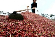 Nông sản Việt xuất sang Trung Quốc: Mục tiêu "phá ngưỡng" 5 tỷ USD