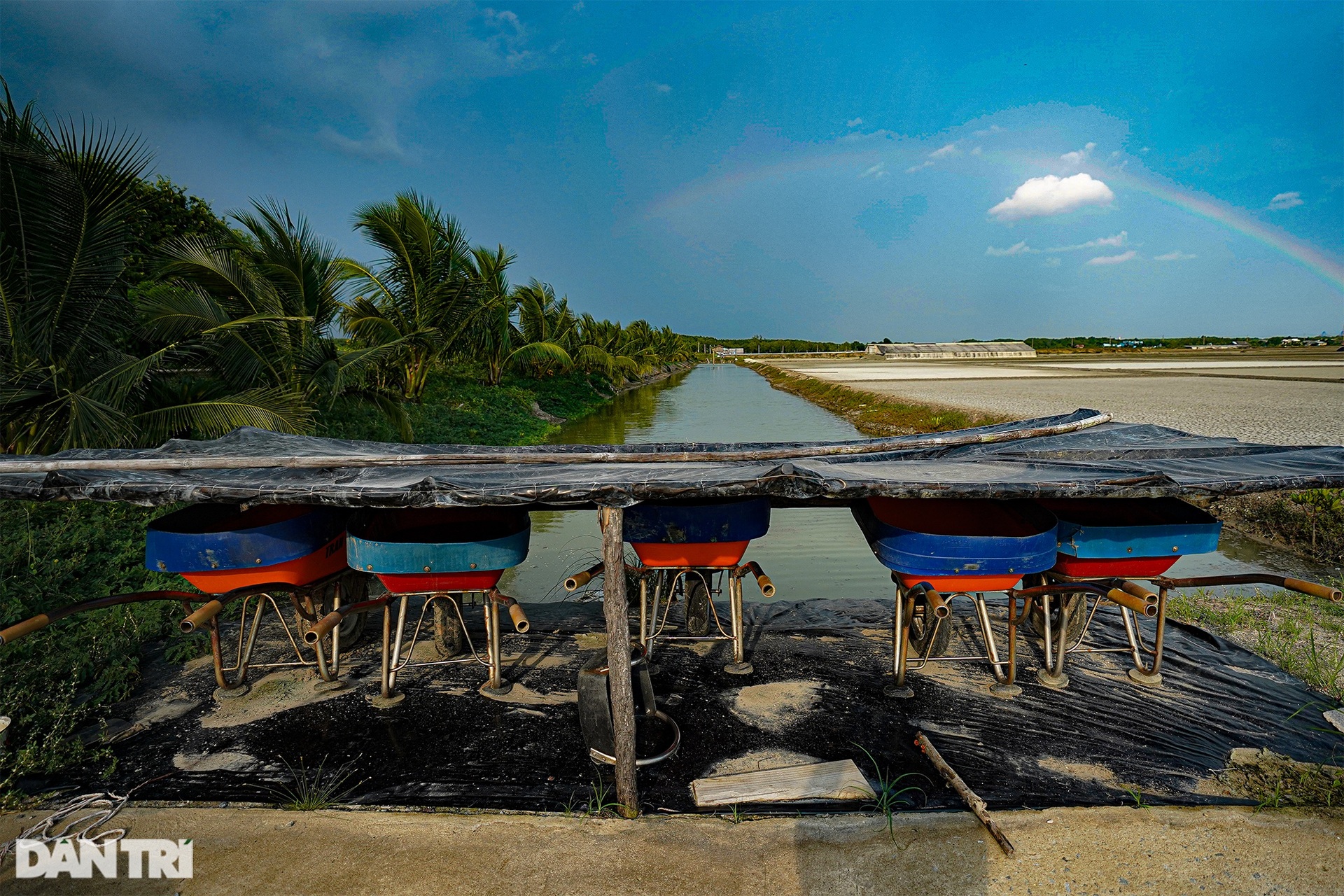 Trắng đêm bảo vệ vùng xanh trên biển tại xã đảo duy nhất ở TPHCM - 14 Trắng đêm bảo vệ vùng xanh trên biển tại xã đảo duy nhất ở TPHCM - 14