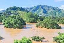 Việt Nam trong nhóm chịu ảnh hưởng nặng nề nhất bởi thiên tai