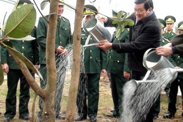 Chủ tịch nước phát động Tết trồng cây Xuân 2012