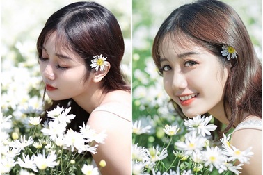 “Thiên thần ảnh thẻ” Lào Cai tinh khôi bên hoa cúc họa mi đầu mùa