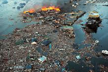 Bài học từ Nhật Bản