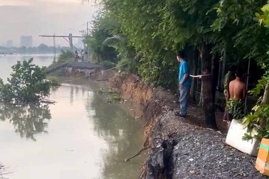 Sạt lở bờ đê ven sông ở TPHCM, lên phương án di dời 6 hộ dân