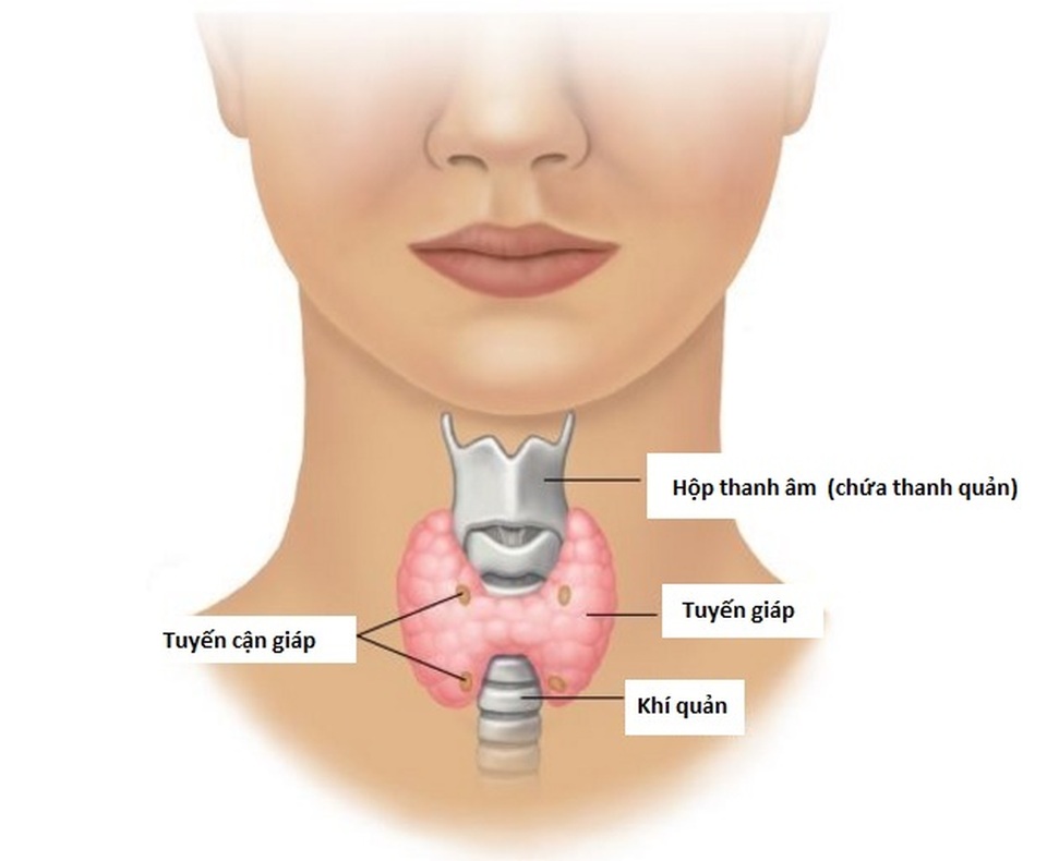 Điều trị ung thư tuyến giáp như thế nào? - 1 Điều trị ung thư tuyến giáp như thế nào? - 1