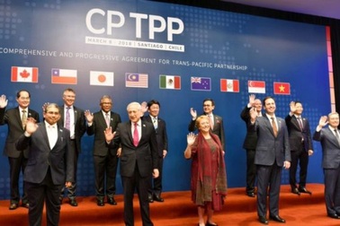 Sẽ trình phê chuẩn Hiệp định CPTPP vào kỳ họp Quốc hội tháng 10 tới