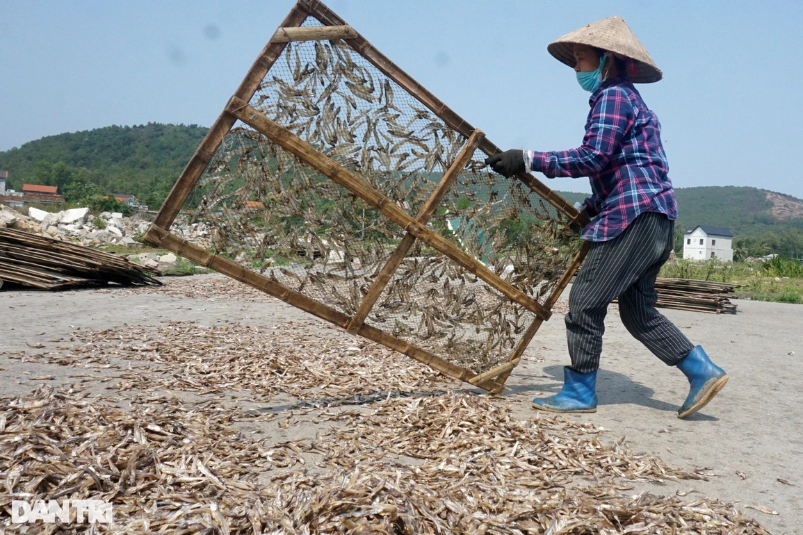 Nửa đêm mang cá đi rải, giữa trưa cầm gậy đập cật lực để lấy tiền - 3 Nửa đêm mang cá đi rải, giữa trưa cầm gậy đập cật lực để lấy tiền - 3