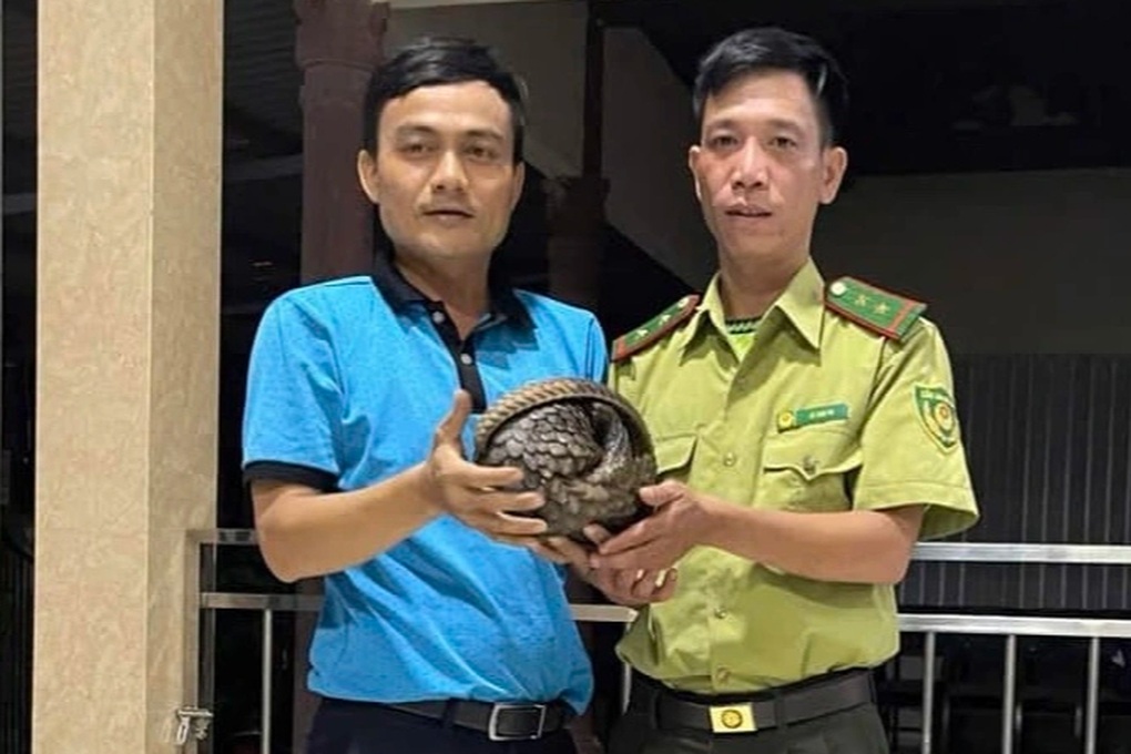 Đi đường bắt gặp cá thể động vật có nguy cơ tuyệt chủng - 1 Đi đường bắt gặp cá thể động vật có nguy cơ tuyệt chủng - 1