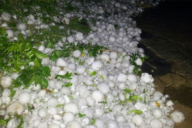 Lào Cai: Cảnh báo gió lốc, mưa đá có thể xảy ra trong đêm