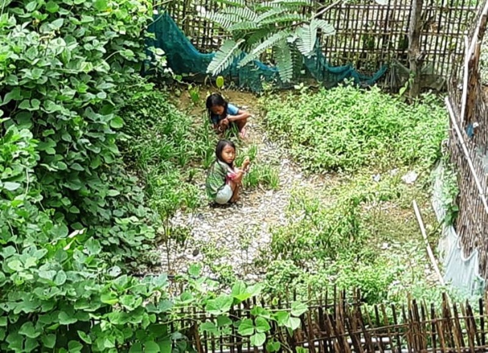 Trên 2 vạn người dân ở huyện biên giới Nghệ An cần gạo cứu đói - 8 Trên 2 vạn người dân ở huyện biên giới Nghệ An cần gạo cứu đói - 8
