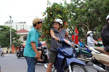 Hối hả mang Xuân về nhà