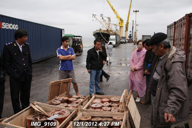 Làm rõ việc tạm giữ lô hàng gỗ nhập khẩu ở cảng Tiên Sa