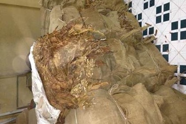 Phá vụ buôn lậu 36 tấn lá thuốc lá từ Trung Quốc vào Việt Nam