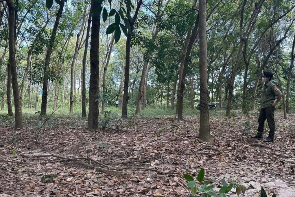 Thi thể người đàn ông đang phân hủy trong tư thế treo cổ - 1 Thi thể người đàn ông đang phân hủy trong tư thế treo cổ - 1