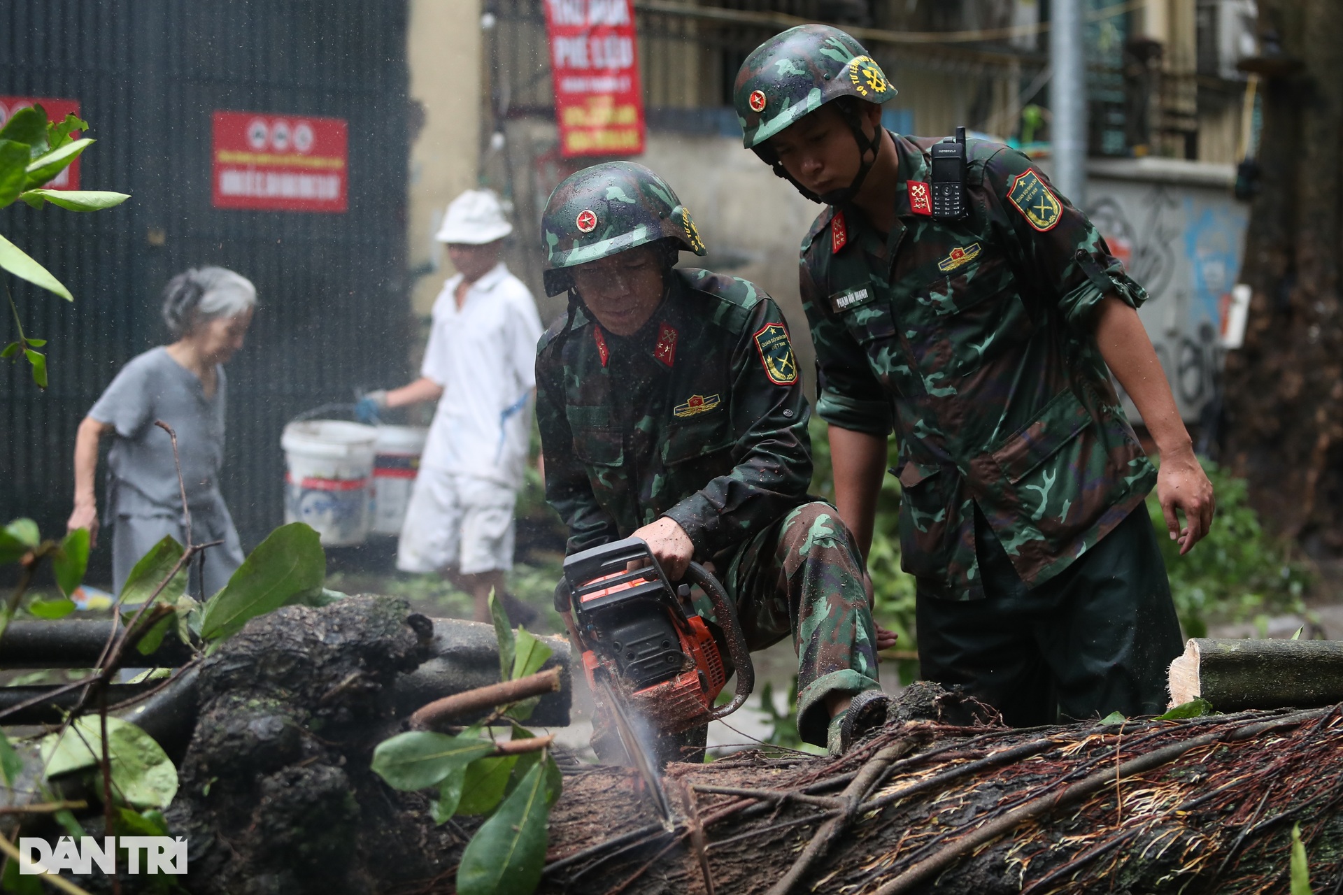 Hà Nội khẩn trương thu dọn cây đổ, khắc phục hậu quả sau bão - 12 Hà Nội khẩn trương thu dọn cây đổ, khắc phục hậu quả sau bão - 12