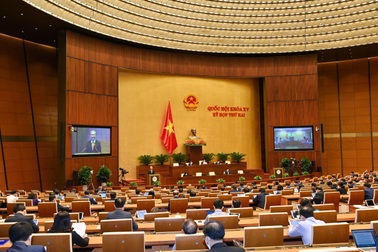 Trao cơ chế đặc thù chuyển đất rừng cho một số địa phương: Cần xem xét kỹ