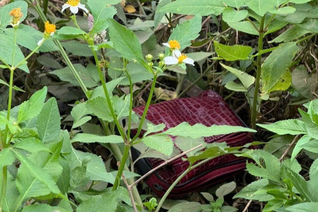 Từng 5 lần bị kết án vì trộm cắp, nữ quái vẫn tái phạm - 2