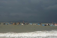 Sử dụng thuốc nổ, xung điện khai thác thủy sản sẽ bị xử lý nghiêm