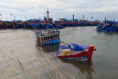 Bão Noru đánh đắm nhiều tàu thuyền ở đảo Lý Sơn