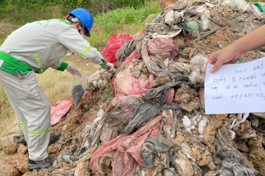 Bắt giam người cho chôn lấp 600 tấn chất thải khi làm ao nuôi cá
