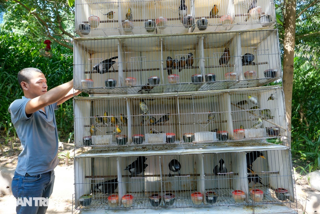 Tiểu thương Hà Nội hốt bạc bán hàng nghìn chim phóng sinh rằm tháng 7 - 7