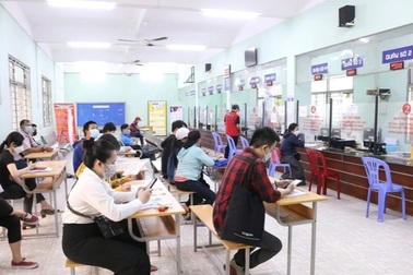 TP.HCM: Đẩy mạnh chuyển đổi số thực hiện chính sách bảo hiểm thất nghiệp