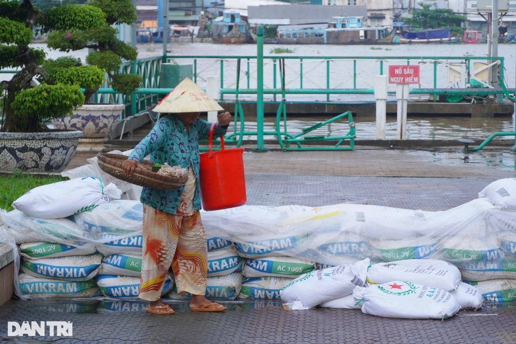 Nâng tường, đắp bao cát ngăn nước sông tràn vào bến Ninh Kiều - 2 Nâng tường, đắp bao cát ngăn nước sông tràn vào bến Ninh Kiều - 2