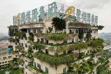 Country Garden báo lỗ kỷ lục, quân domino tiếp theo nằm xuống?