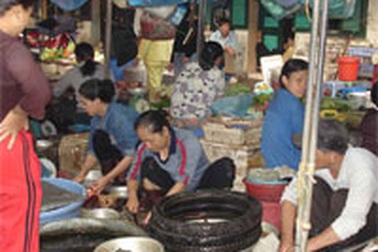 Giá cả tăng sớm hơn dự đoán