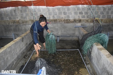 Liều cắm sổ đỏ nuôi con "trơn tuột", cặp vợ chồng 9x nhận kết đẹp