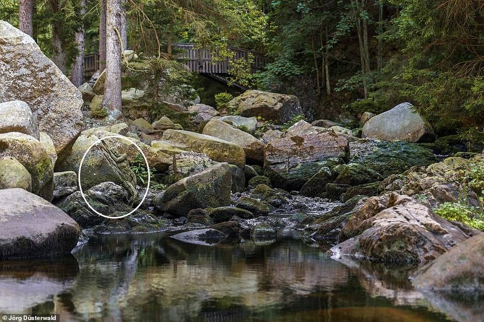 Bạn có nhìn thấy người mẫu khỏa thân trong ảnh này? - 17 Bạn có nhìn thấy người mẫu khỏa thân trong ảnh này? - 17