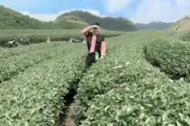 Giới trẻ thích thú với trào lưu làm ảnh động mới