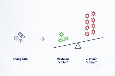 Tác dụng không mong muốn khi sử dụng kháng sinh