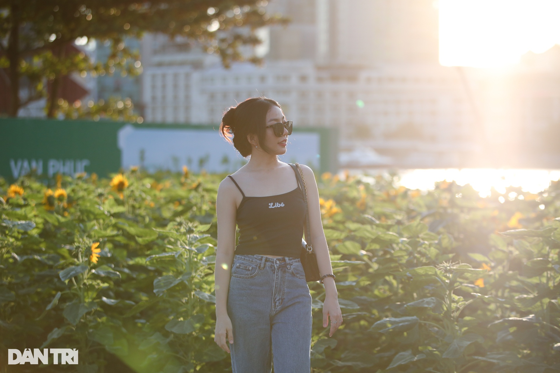 Many young people jostle to show off their beauty in the sunflower field - 6