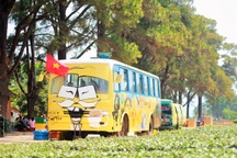 Độc đáo quán cà phê “di động” dưới hàng thông trăm tuổi