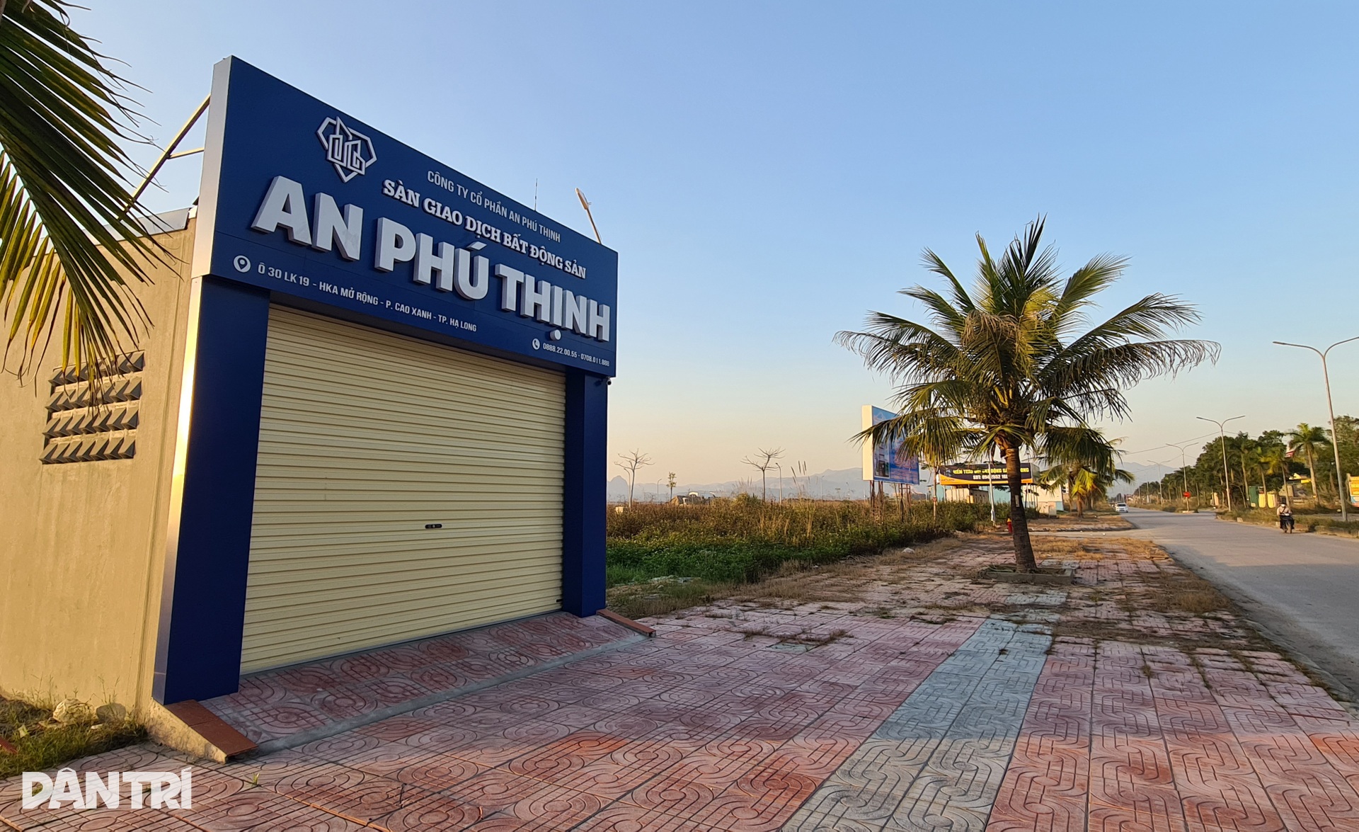 Cỏ mọc um tùm trong các dự án khu đô thị từng sốt hầm hập ở Quảng Ninh - 9 Cỏ mọc um tùm trong các dự án khu đô thị từng sốt hầm hập ở Quảng Ninh - 9